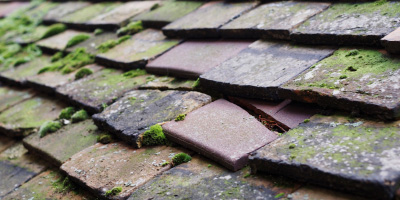 Woodrow roof repair costs
